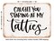 DECORATIVE METAL SIGN - Caught You Staring At My Tatties - Vintage Rusty Look
